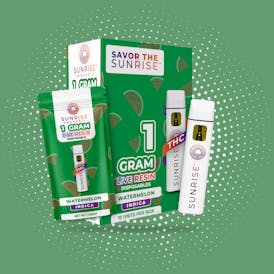 Watermelon - 1g Live Resin Disposable Vape