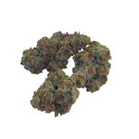 Black Cherry Gelato
