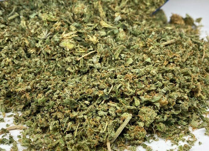 Original Intelligence — Checkmate OG