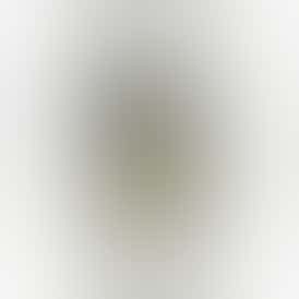 PINEAPPLE EXPRESS (14 GRAMS)