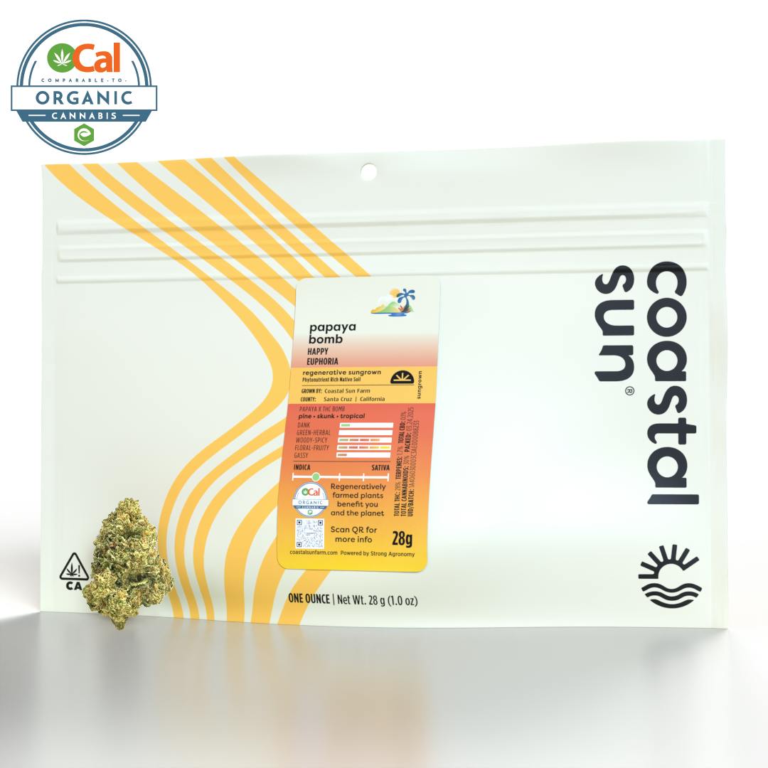 Coastal Sun — Papaya Bomb