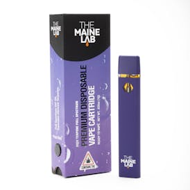 1G Fruits Orange Disposable
