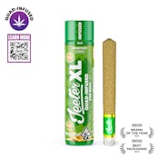 HoneyDew - XL - Quad Infused Preroll - 2g