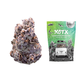 Maraschino Lemon Pop 14G