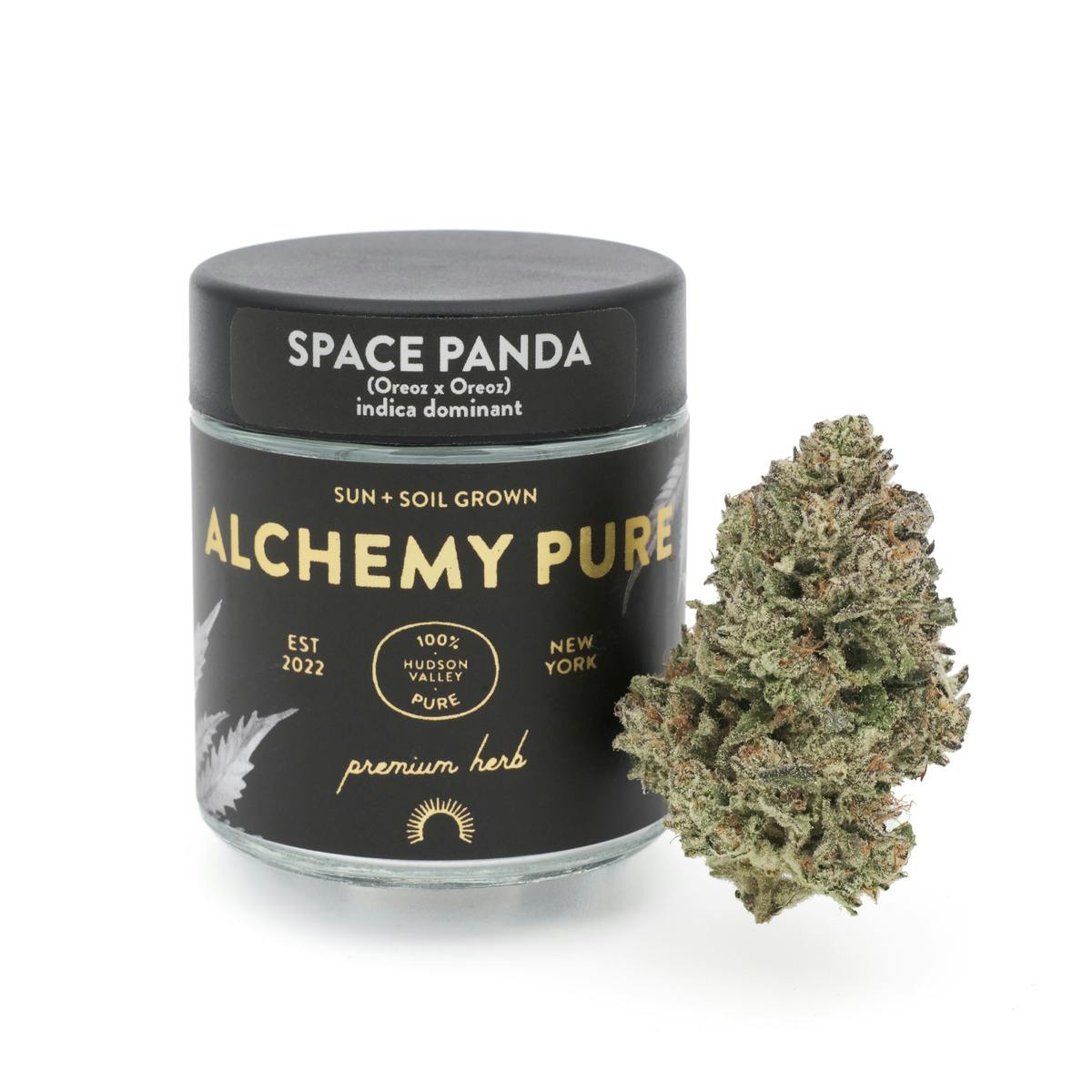 Space Panda Jar