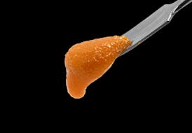 Cold Cured Badder - Black Maple 70/30 Sativa Dominant