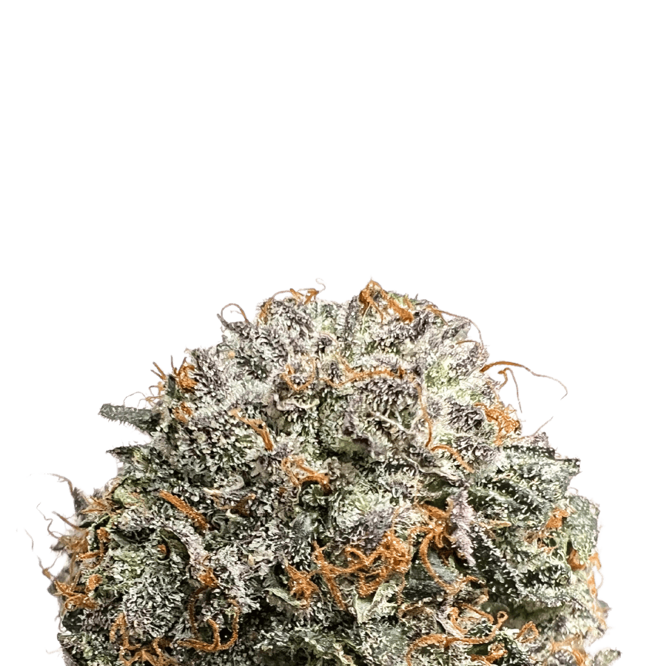 BCF - Nimbus Snacks Flower