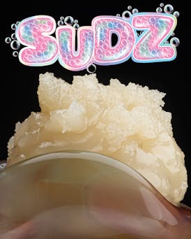 Rkive | Sudz | 1g | Cold Cure
