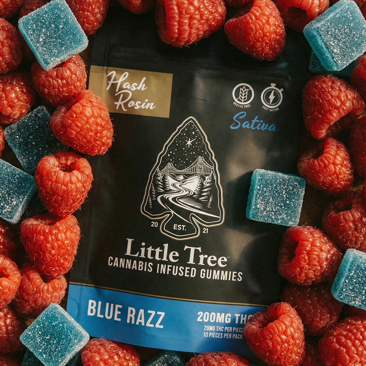 Blue Razz | Hash Rosin Gummies | 20mg | 10pk by Little Tree