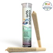 Coastal Sun Infused Pre-rolls 2pk 1.5g - Grape Hooch 40%