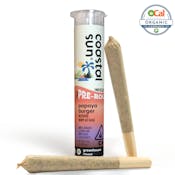 Coastal Sun Infused Pre-rolls 2pk 1.5g - Papaya Burger 44%