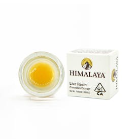 Sour Diesel - Live Resin Concentrate - 1G