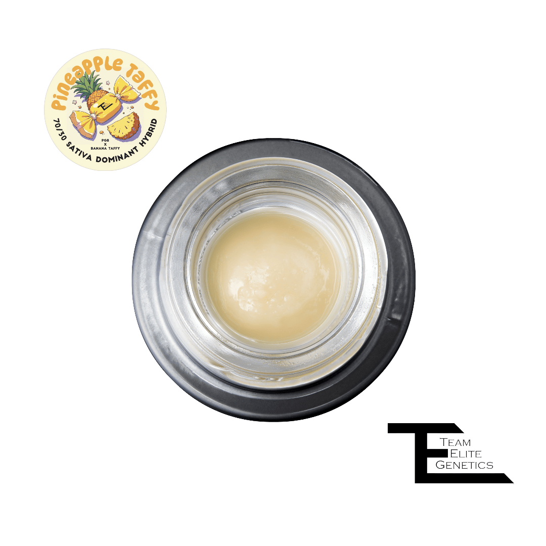 Team Elite Genetics: Pineapple Taffy