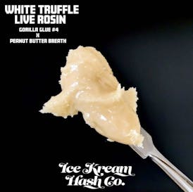 IKHCO | White Truffle | Live Rosin | 1g