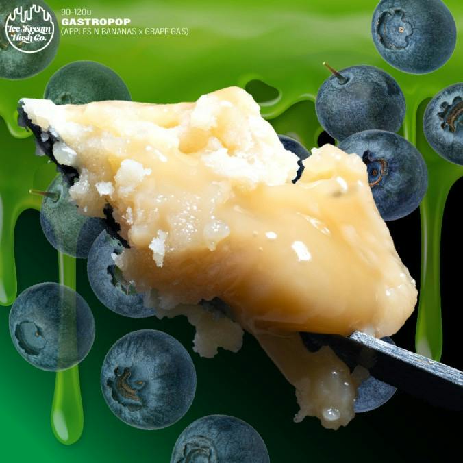 Gastropop | Live Rosin | 1g