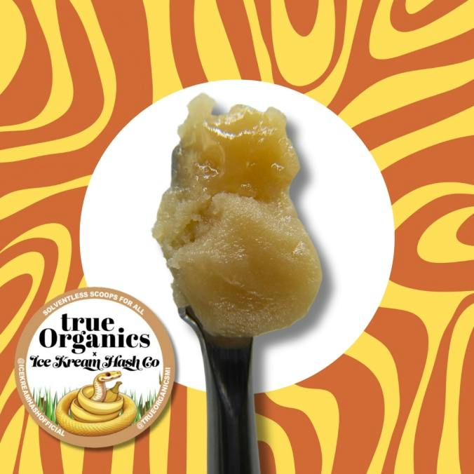 IKHCO x True Organics | Bananaconda | Live Rosin | 1g by Ice Kream Hash Co.
