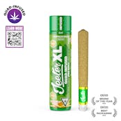 Jeeter | Acapulco Gold | XL Infused Preroll | 2g