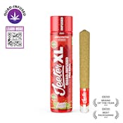 Apple Fritter - XL - Quad Infused Preroll - 2g