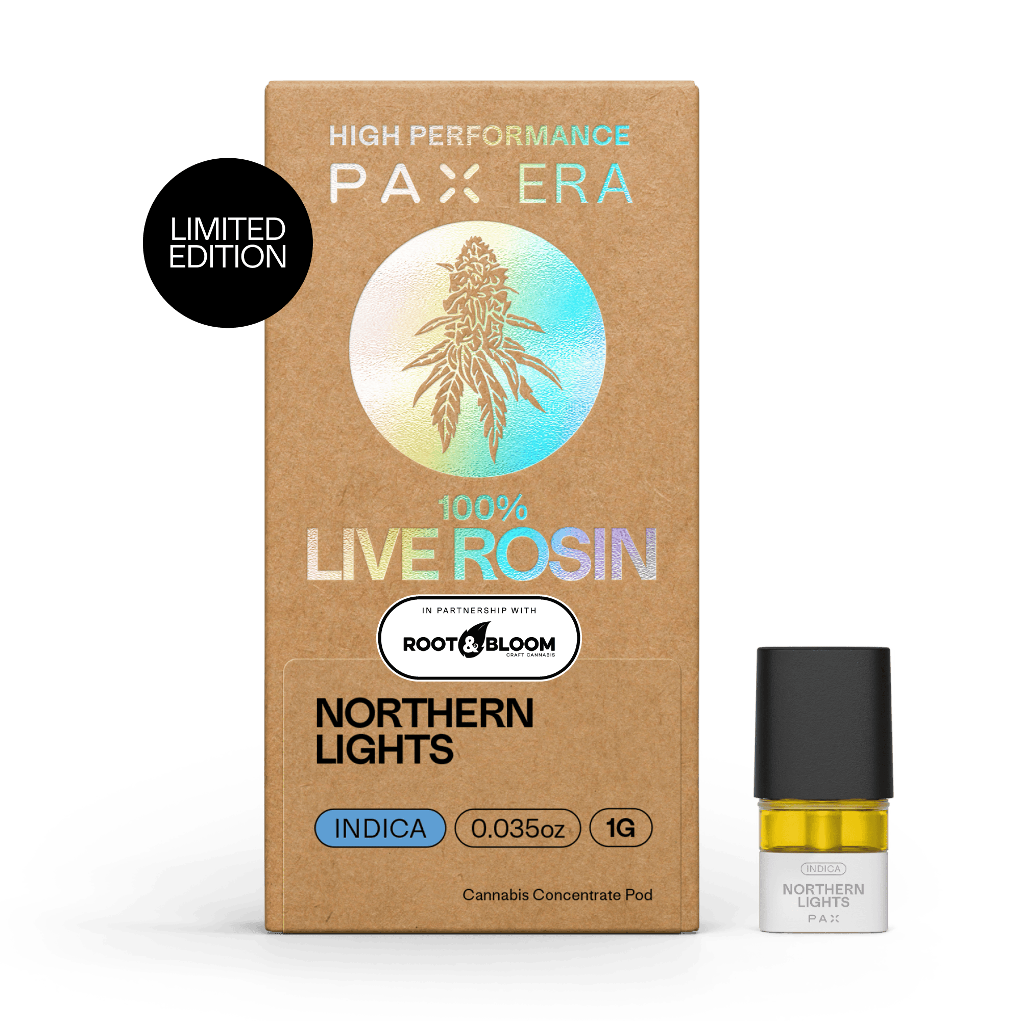 PAX — Northern Lights