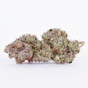 Pure Beauty - Crescendo | 3.5g Indoor Sativa