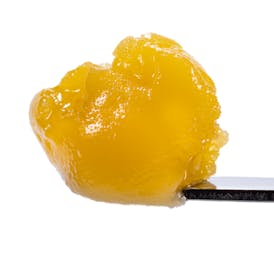 Forbidden Haze Live Resin Badder