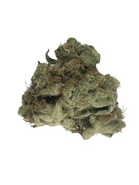 Sour Zkittlez - Indico