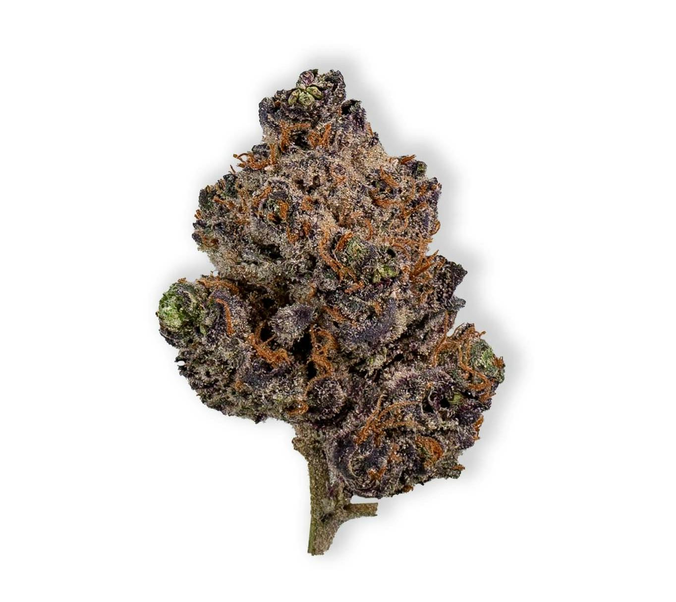 Jelly Runtz (3.5g - 1/8oz) - Topshelf Indoor - Hybrid - Frostiez