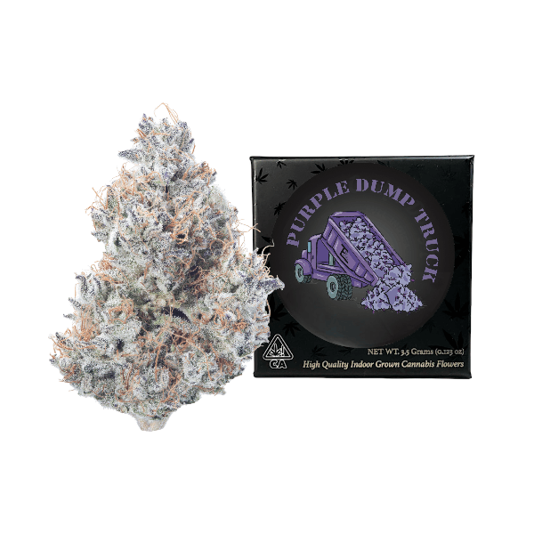 Purple Dump Truck | Big Buds | 3.5g