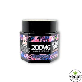 Secret Stash | Hidden Gems | THC | Blueberry | 200mg