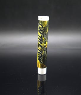 OTL 1g Pre-Roll - Pound Town (S)