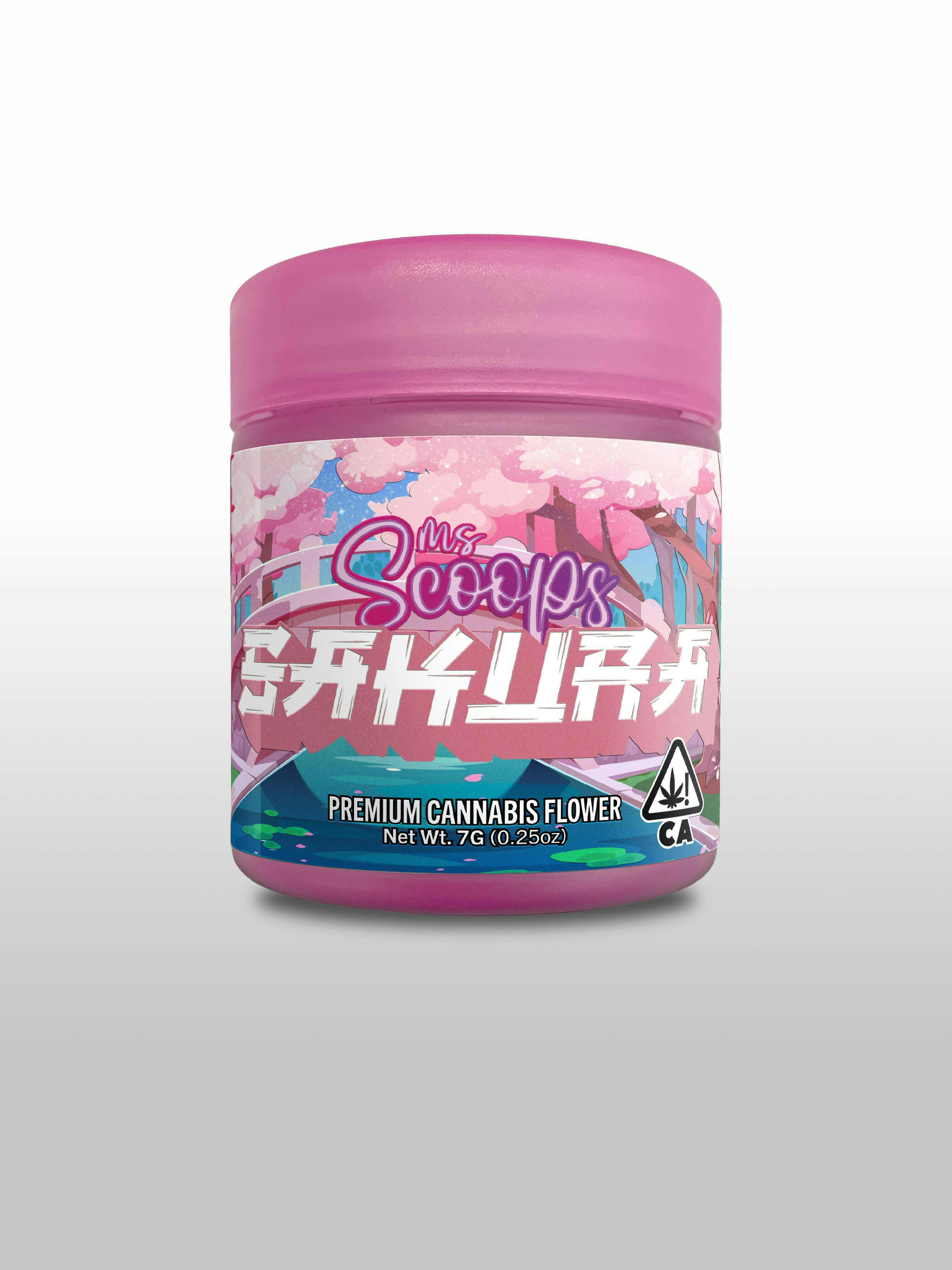 Ms. Scoops — Sakura