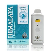 HIMALAYA | GRANDI GUAVA SAUCE - AIO | CARTRIDGE | 1G