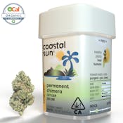 Coastal Sun Flower 7g - Permanent Chimera 30%