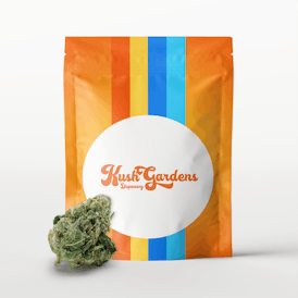 Discount Shelf Flower - Tangie Power