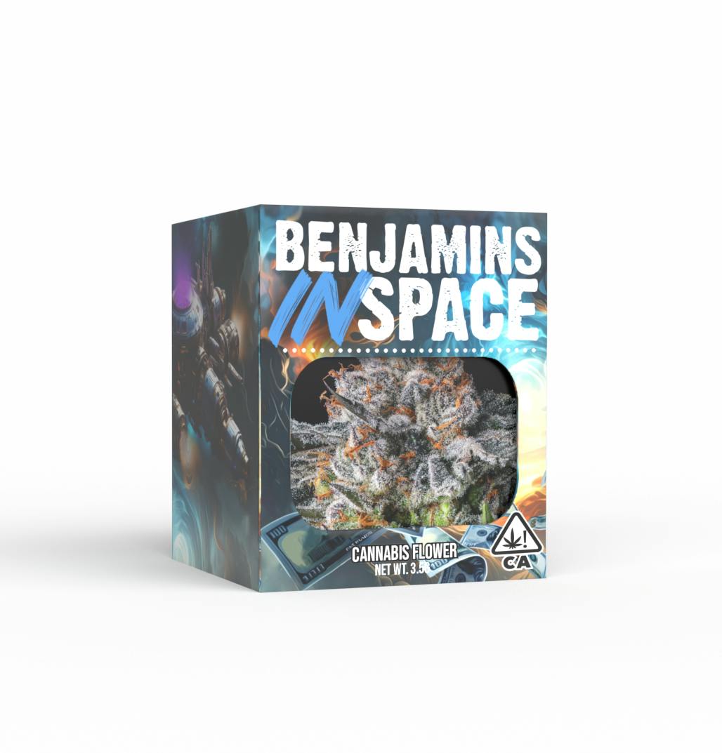 Decibel Gardens — Benjamins In Space