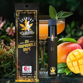 Mango Bellini | Disposable Vape | 2G