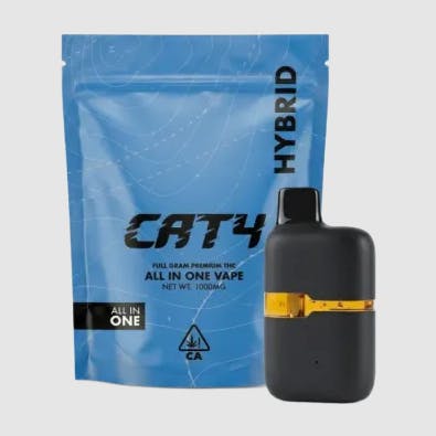 CATALYST: Cat4 - Raspberry Parfait