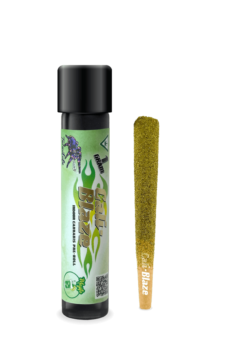 Cali-Blaze | Mojito | Tarantula Infused Joint | 1g