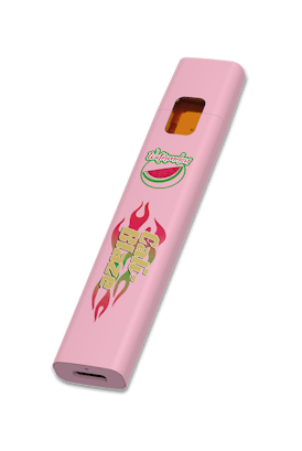 Disposable - Watermelon - 1G
