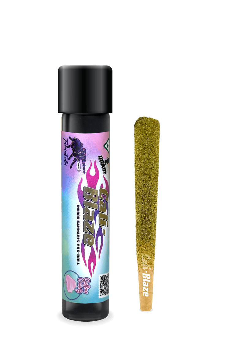 Cali-Blaze | Cotton Candy | Tarantula Infused Joint | 1g at Pettals Cannabis Dispensary - Charlton