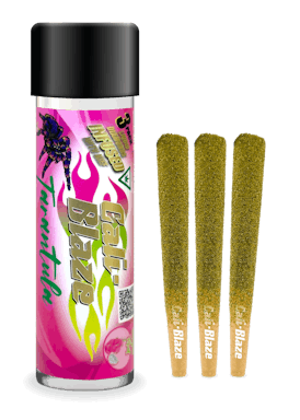 Infused Tarantula 3pk - Dragon Fruit - 3G