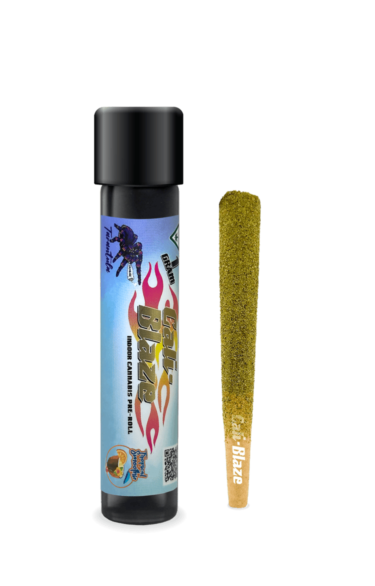Tropical Smoothie | Infused Joint | 1g by Cali-Blaze