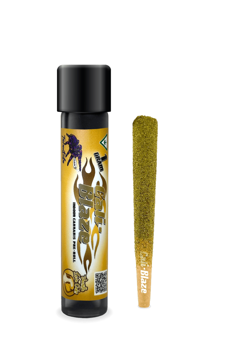 Vanilla Lava Cake Tarantula