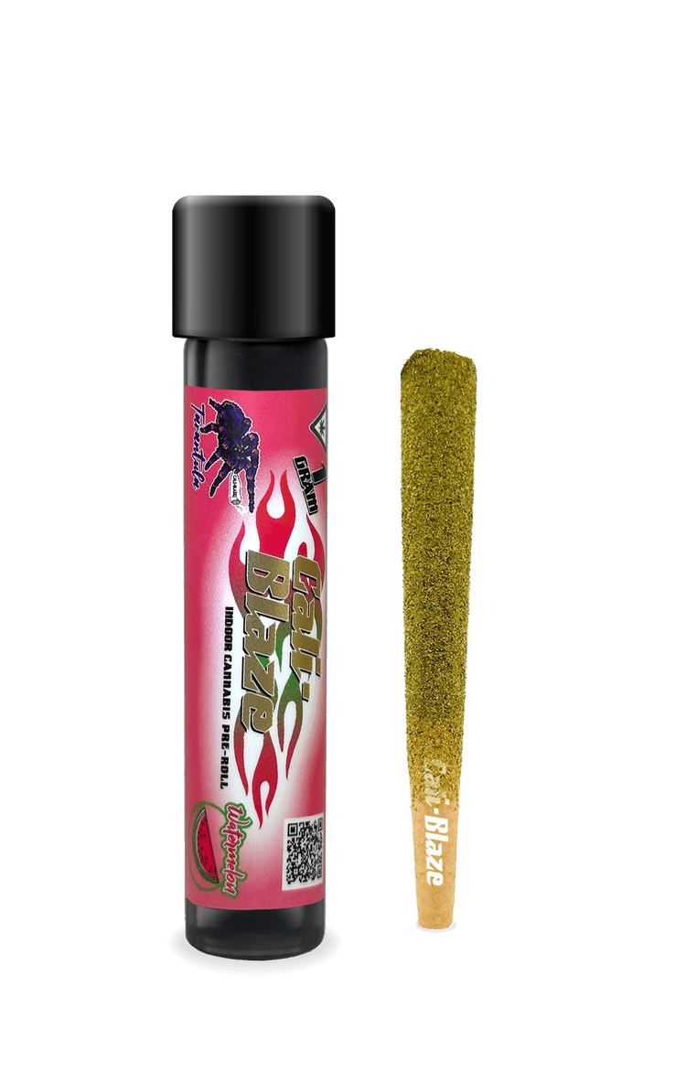 Cali-Blaze | Watermelon | Tarantula Infused Joint | 1g