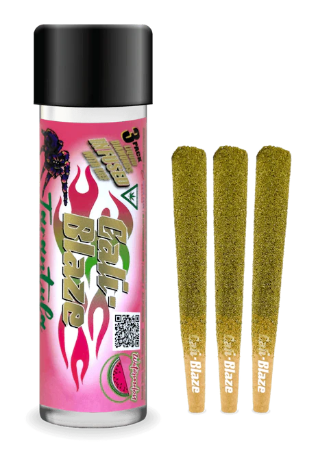 Cali-Blaze | Watermelon | Tarantula Infused Joints | 1g each | 3pk — infused joints listed on the Herbs 4 You menu