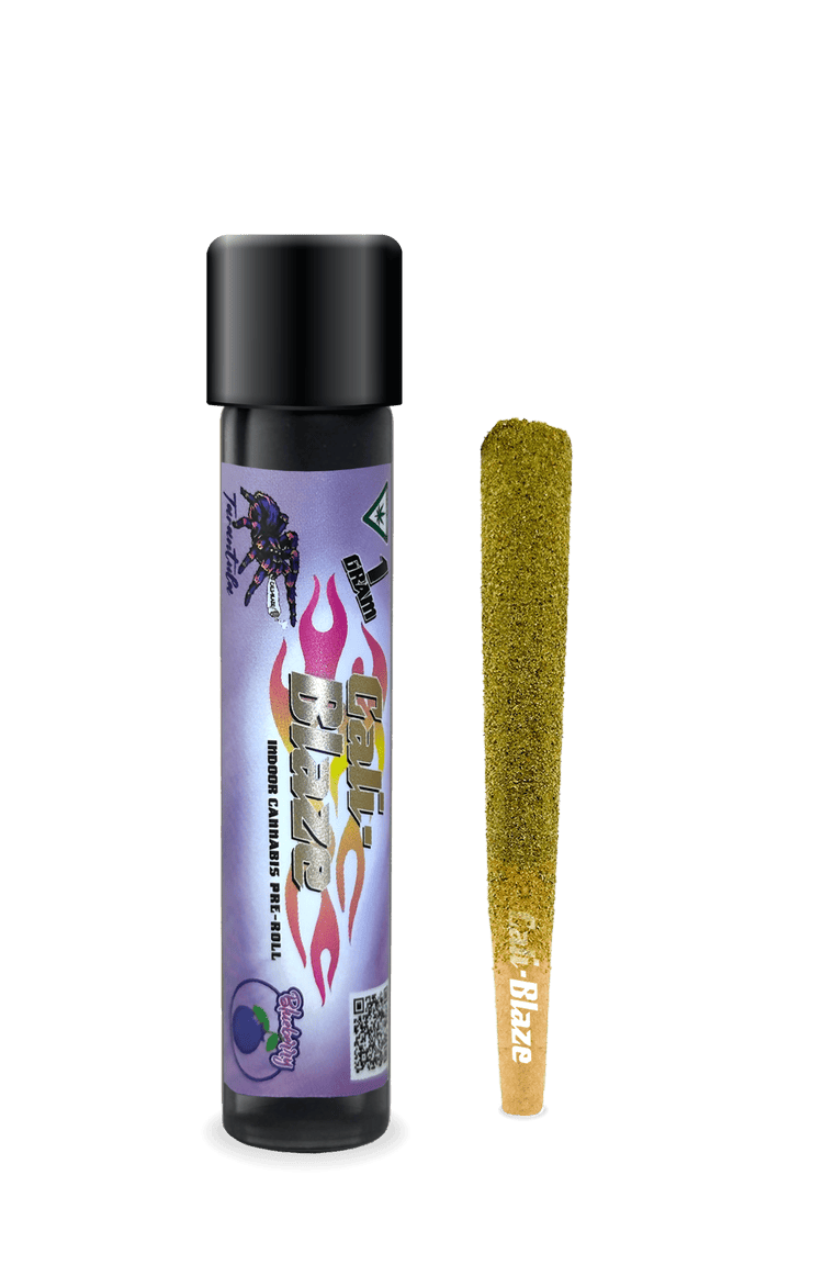 Cali-Blaze | Blueberry | Tarantula Infused Joint | 1g at Denver Kush Club