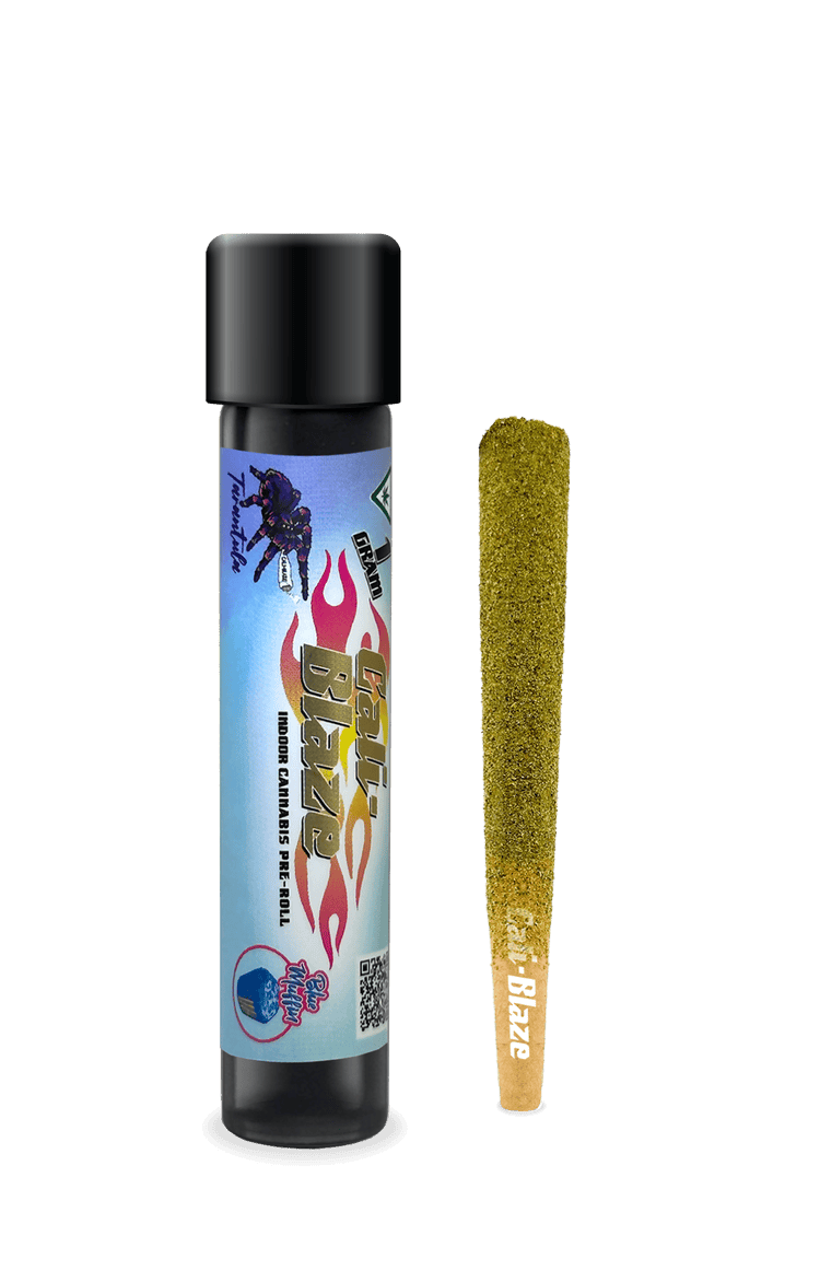 Cali-Blaze | Blue Muffin | Tarantula Infused Joint | 1g