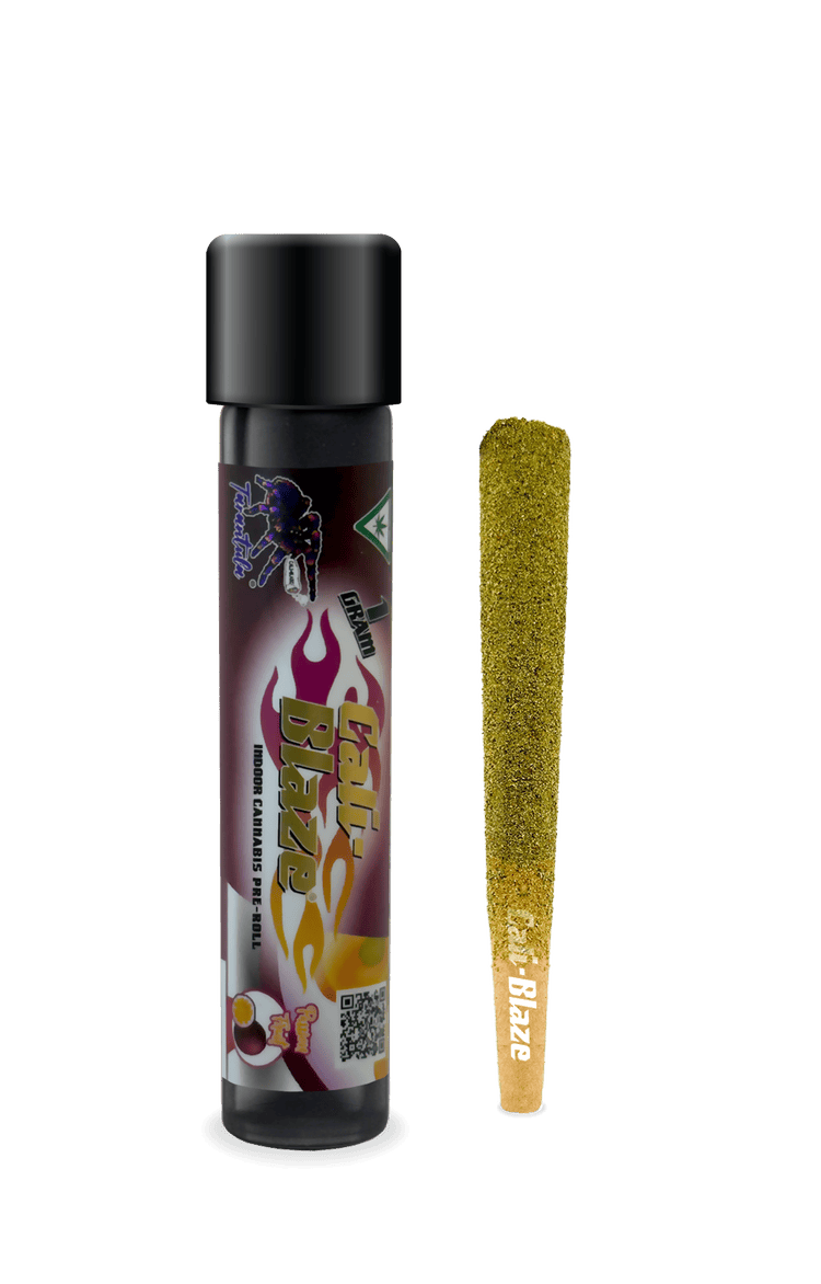 Passion Fruit | Tarantula Infused Joint | 1g at Elevated Exotics Republic Recreational Cannabis Dispensary