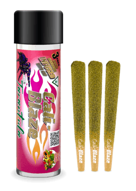 Infused Tarantula 3pk - Fruit Punch - 3G