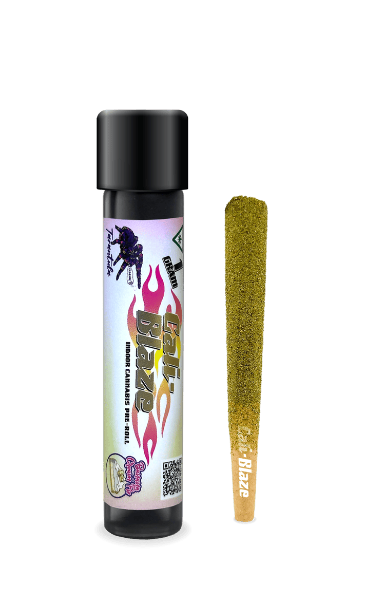 Cali-Blaze | Banana Cream Pie | Tarantula Infused Joint | 1g by Cali-Blaze